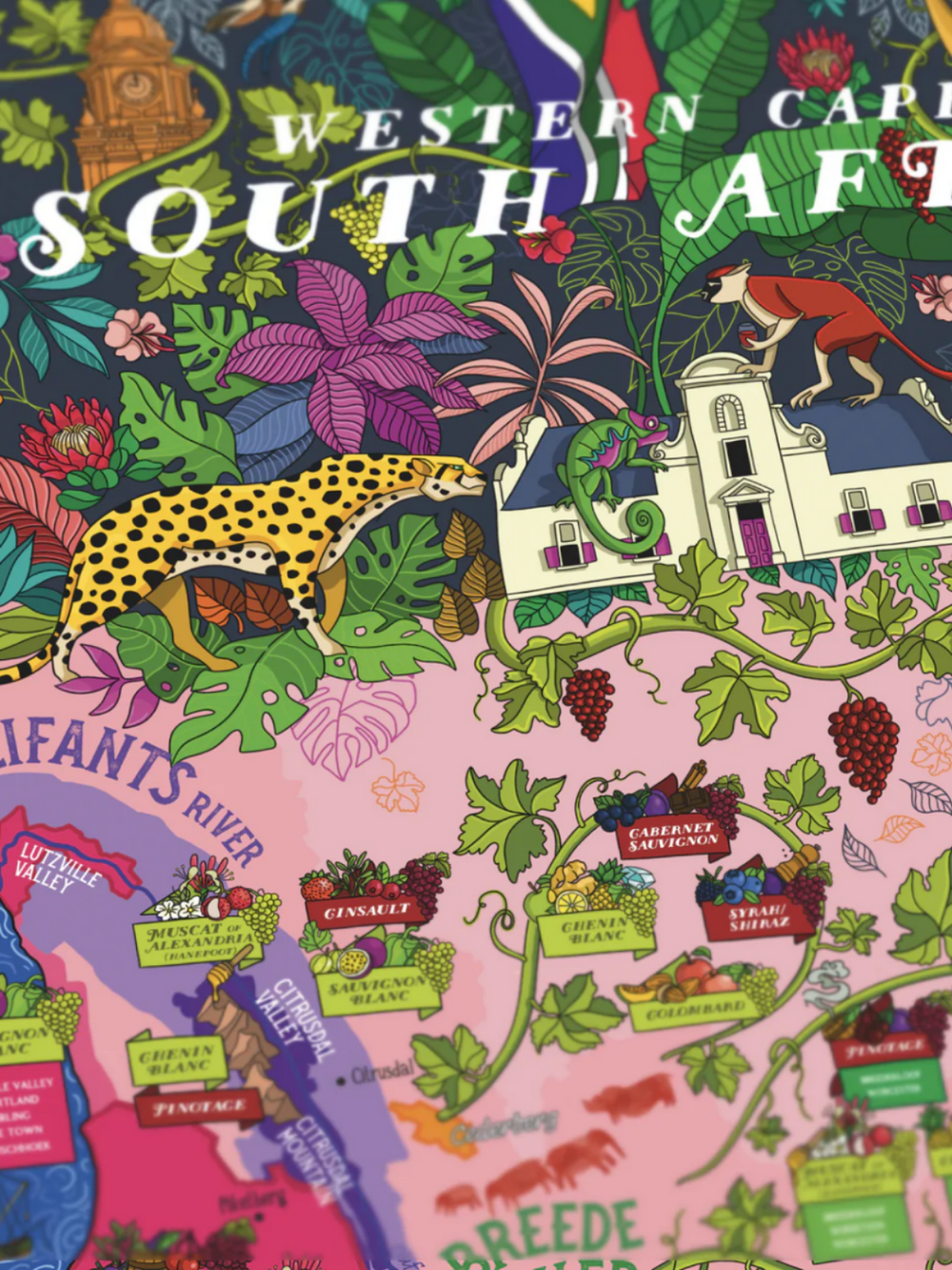 Wine Puzzle - Afrique du Sud