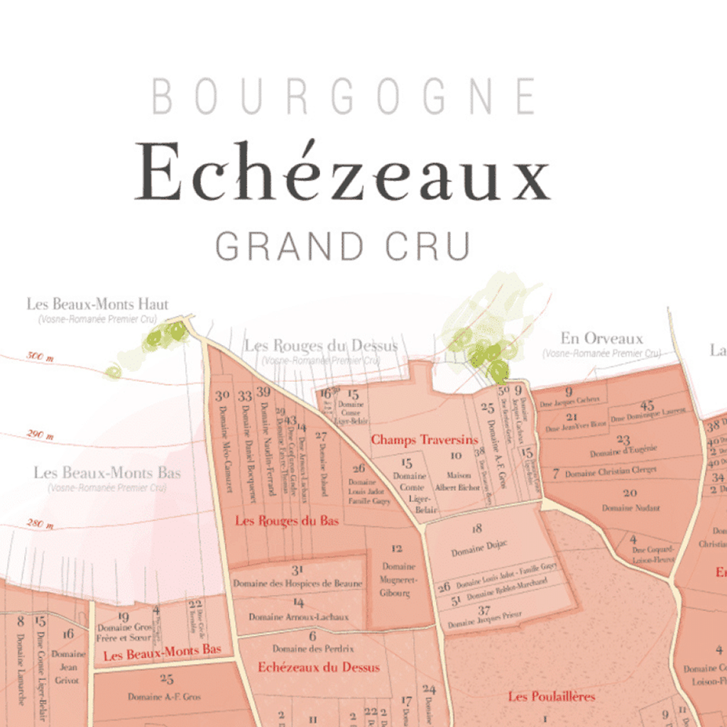 Carte parcellaire murale : Echézeaux