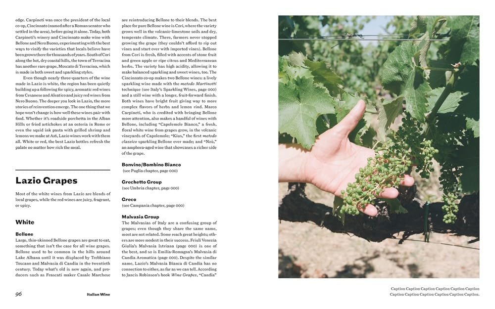 Italian Wine: The History, regions, and grapes of an iconic wine country