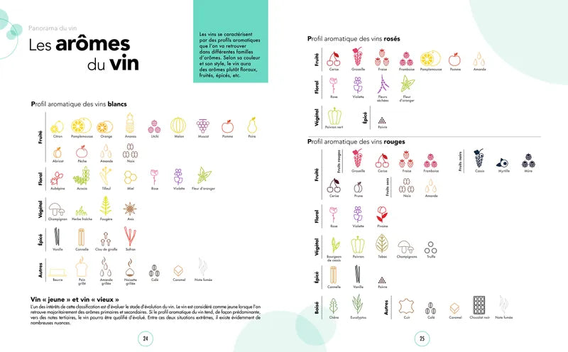 Le Grand Cours de Dégustation: Tout le vin en 120 leçons pour déguster comme un œnologue