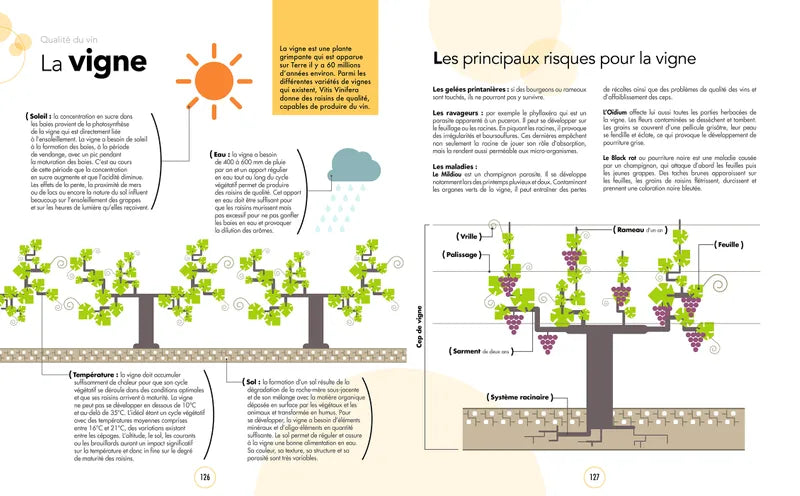 Le Grand Cours de Dégustation: Tout le vin en 120 leçons pour déguster comme un œnologue