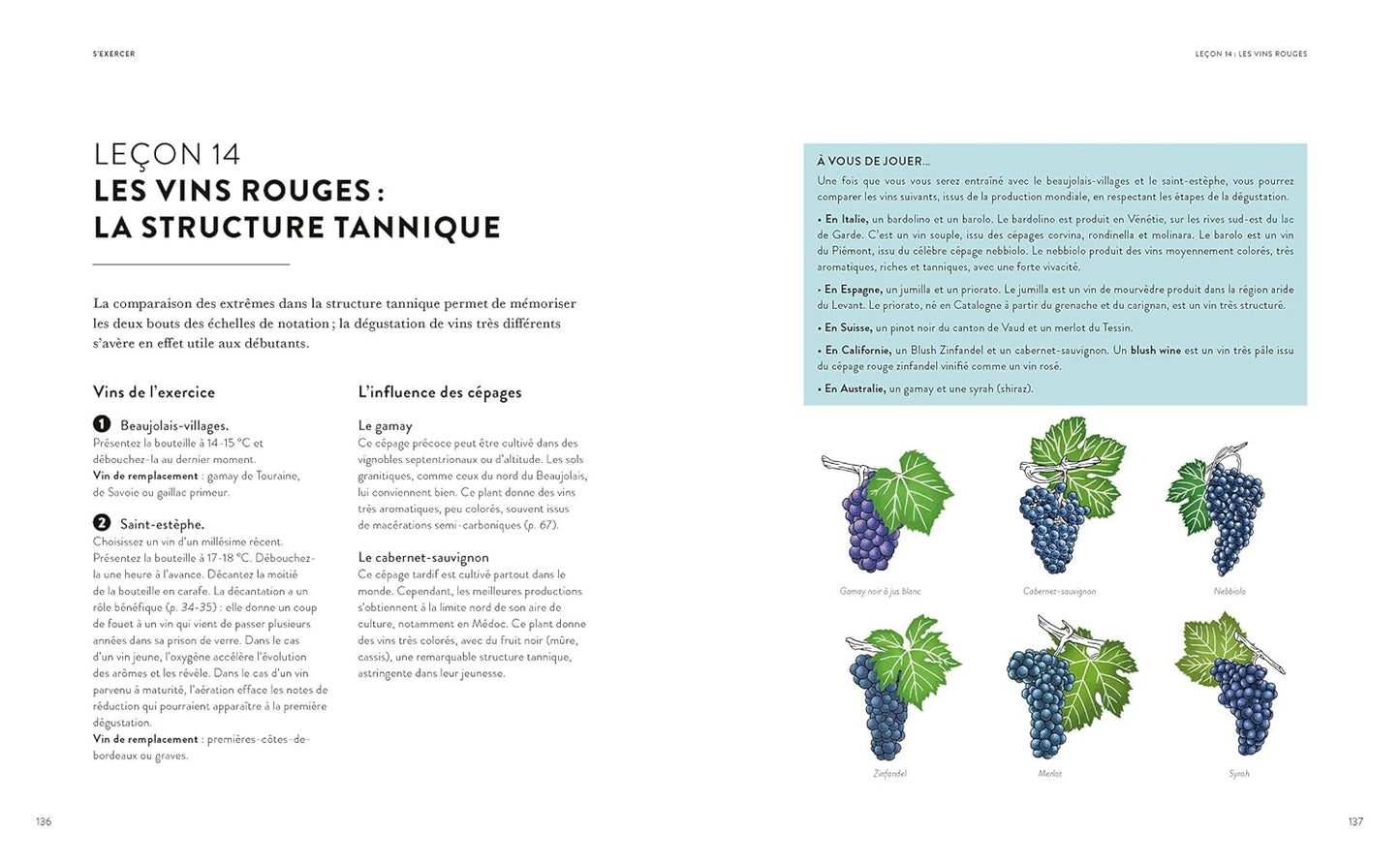 La dégustation en 20 leçons