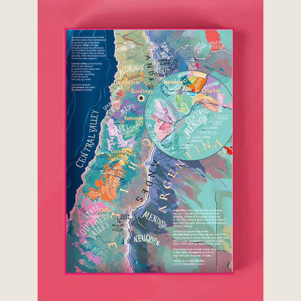 Wine Puzzle - Amérique du Sud