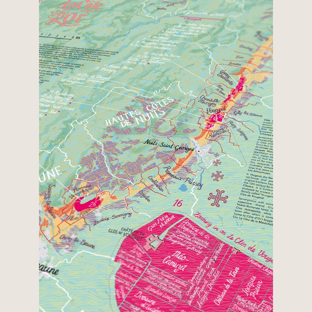 Wine Puzzle - Bourgogne