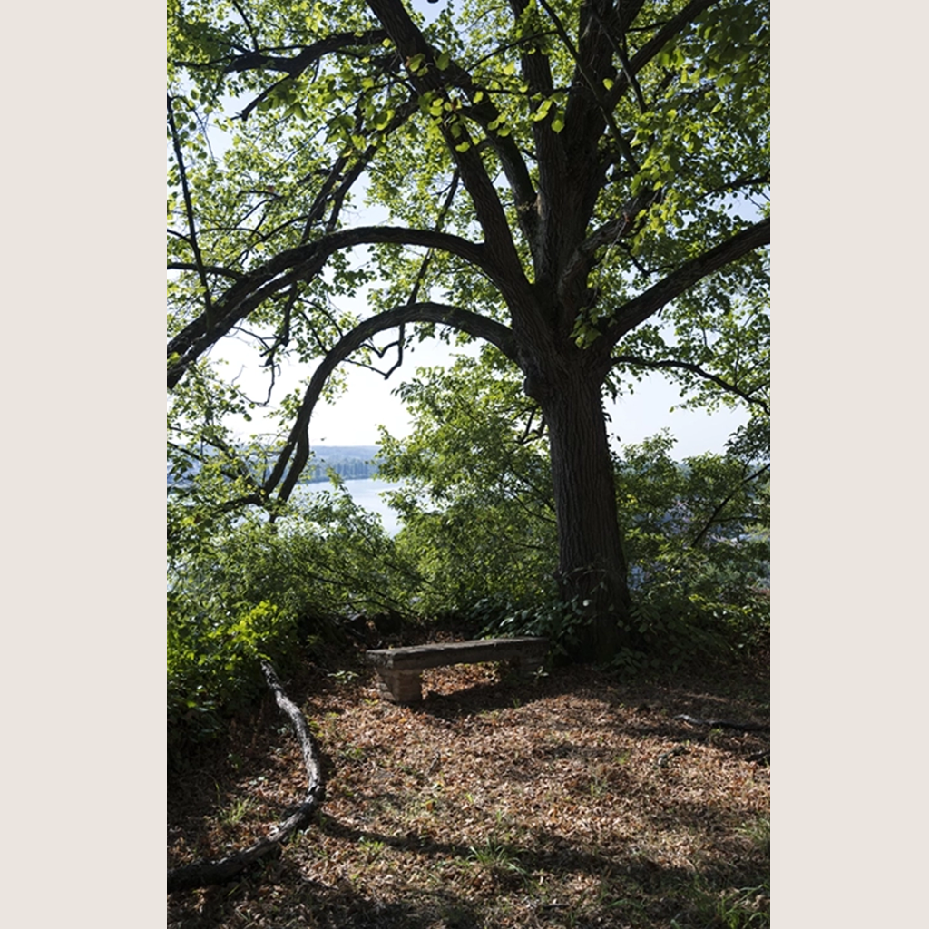 Château-Grillet : les eaux du feu