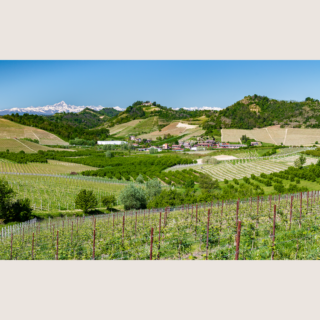 On the Road in Piemonte with Winemakers, Farmers & Chefs