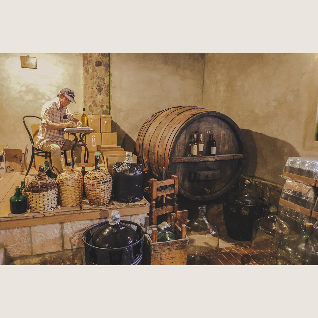 The South America Wine Guide: The definitive guide to wine in Argentina, Chile, Uruguay, Brazil, Bolivia & Peru