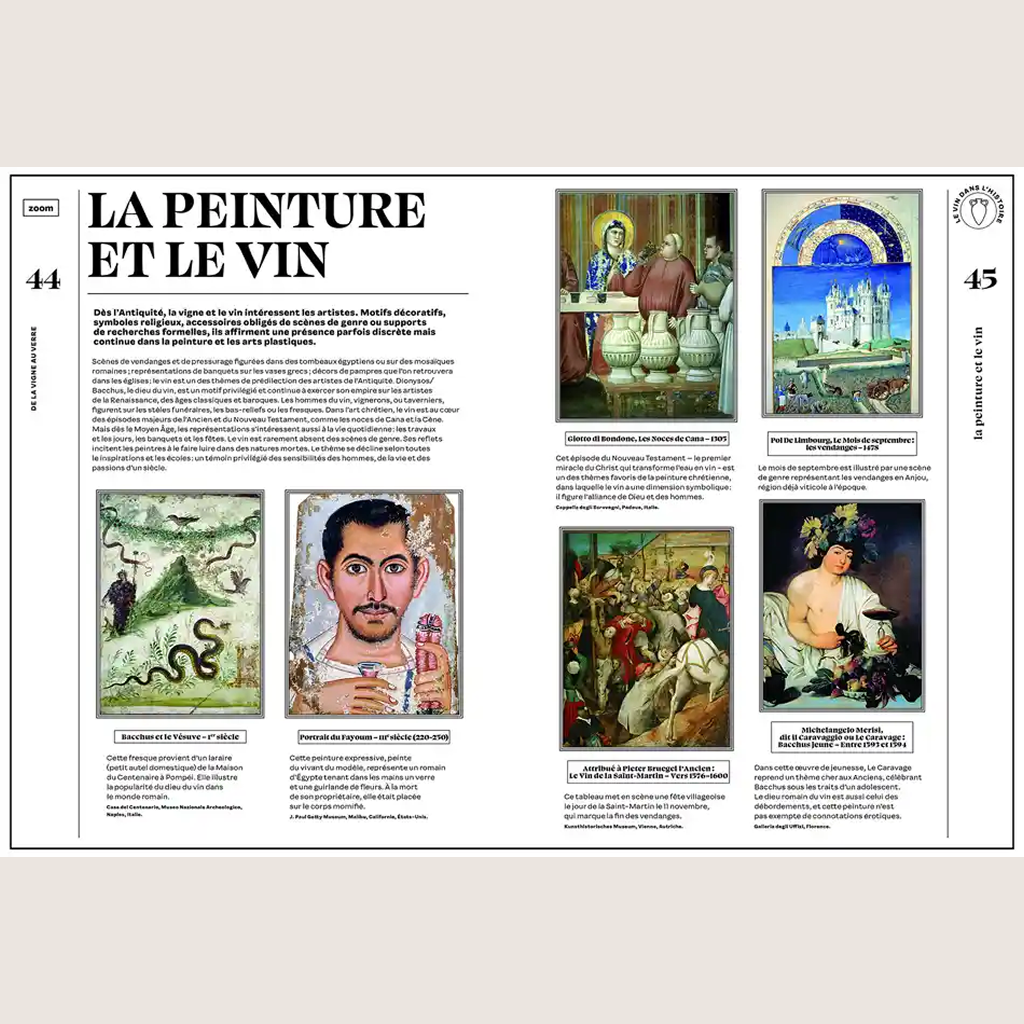 Hachette wine encyclopedia