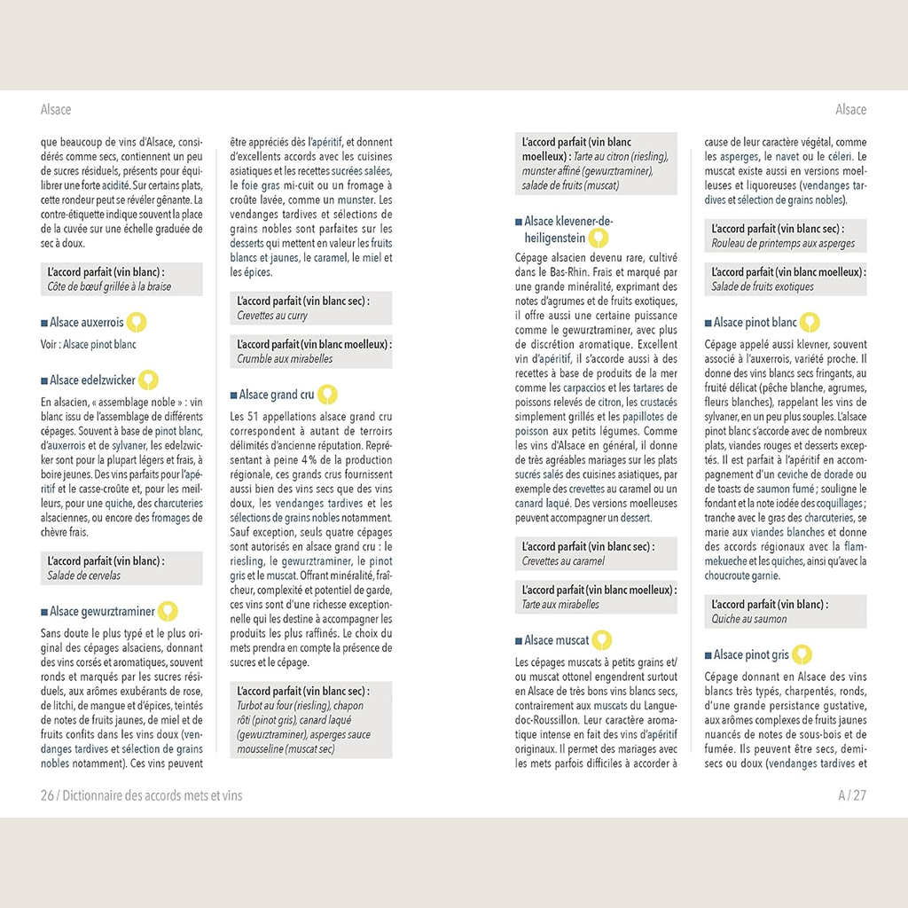 Le petit Dictionnaire Hachette des Accords Mets et Vins