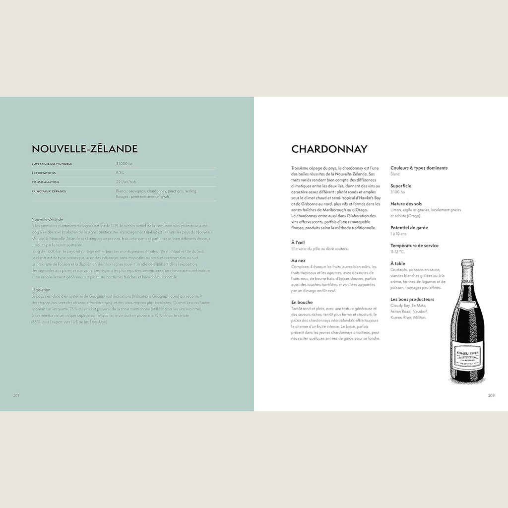 Around the world in 100 wines