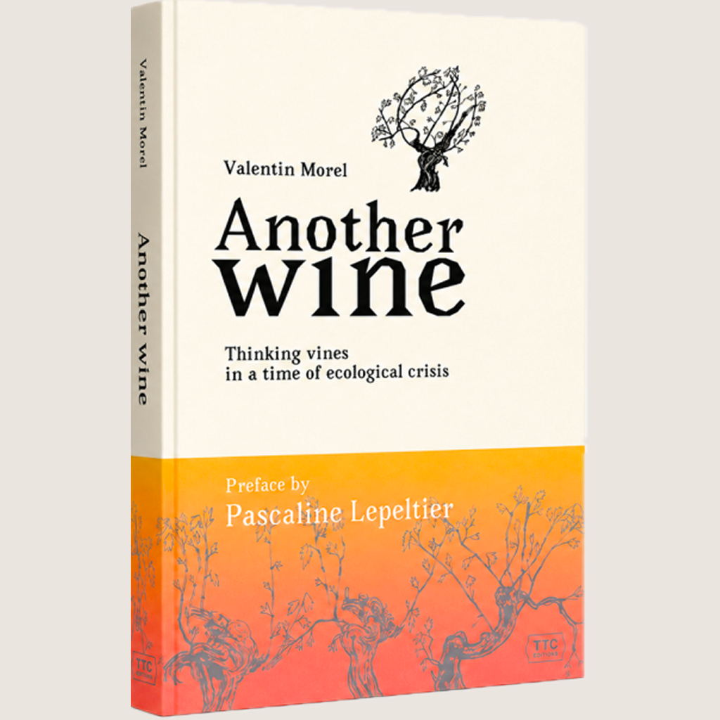 Another Wine: Thinking Vines in a Time of Ecological Crisis