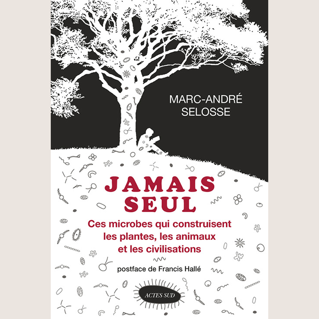 Jamais seul : ces microbes qui construisent les plantes, les animaux et les civilisations
