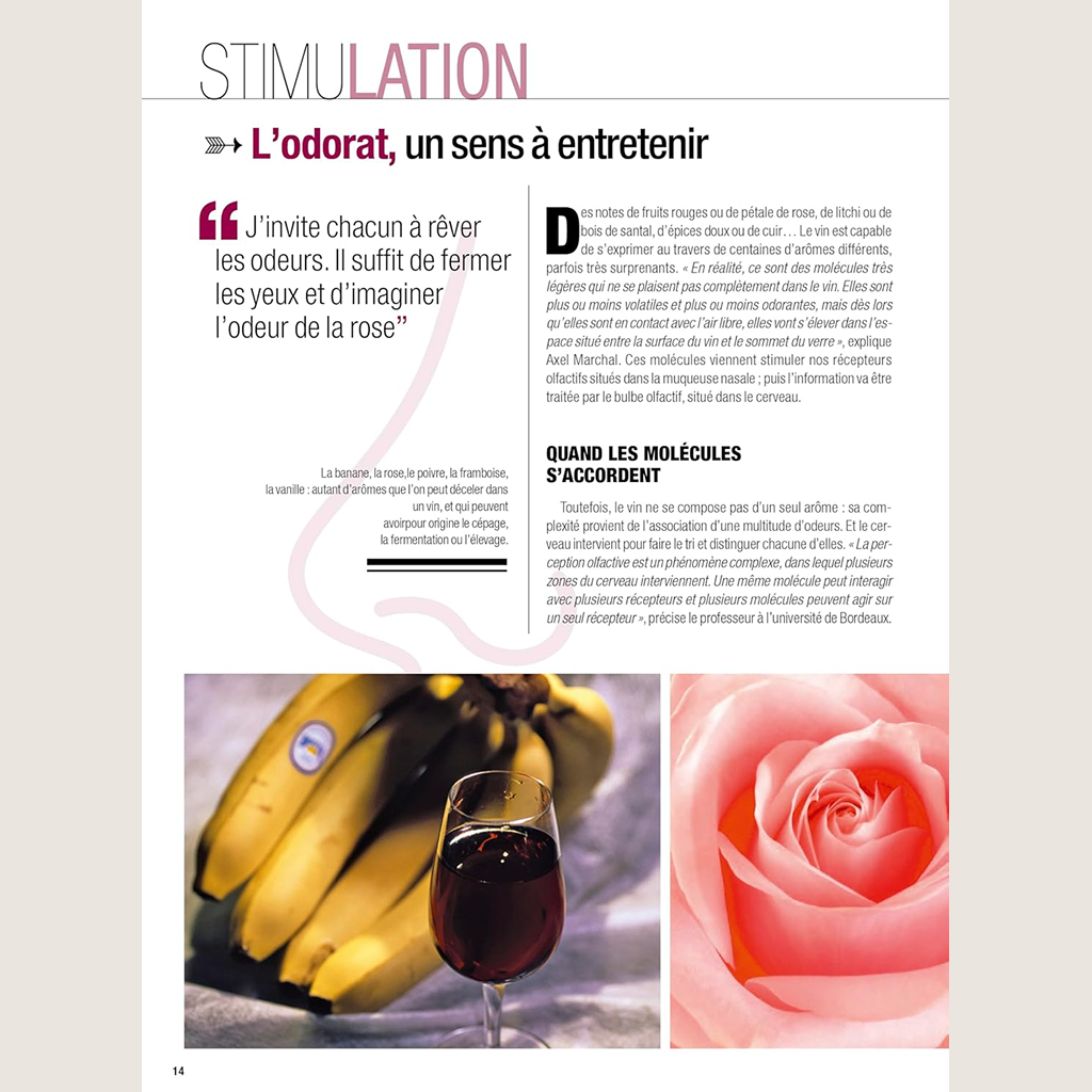 À l'école de la dégustation: Un guide clair et concret pour apprendre à déguster le vin et comprendre ses arômes.