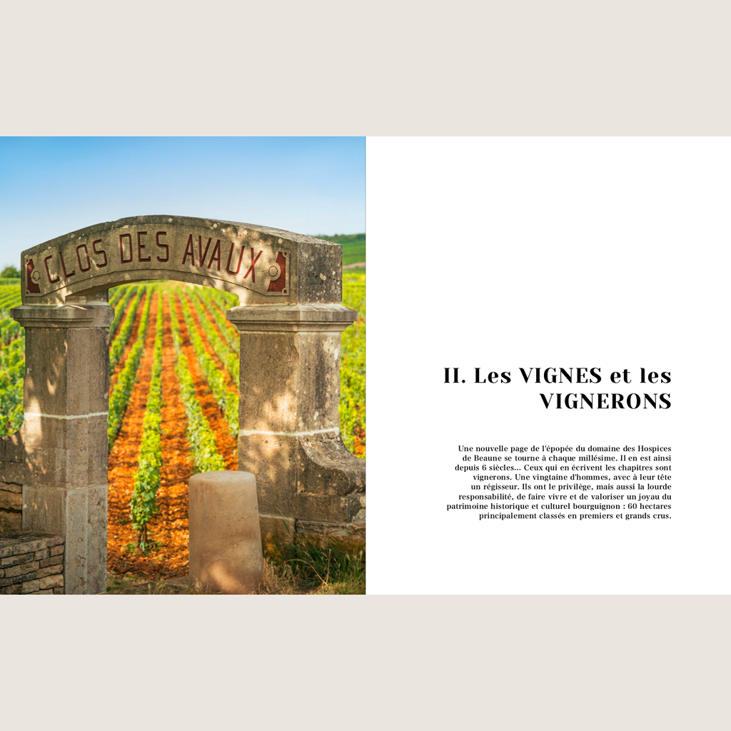 Le Domaine des Hospices de Beaune: Vins, Vignes et Vignerons d'exception