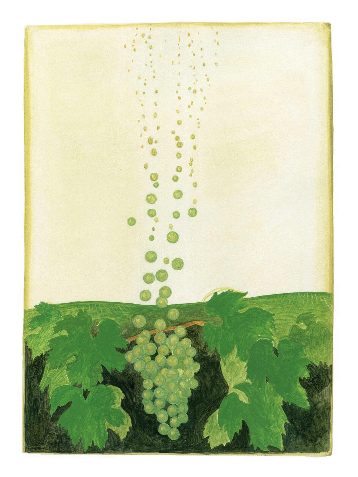 Champagne bubbles