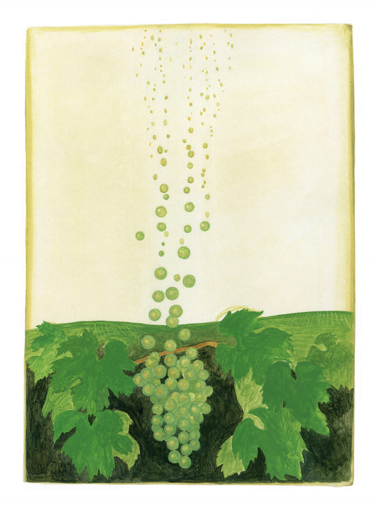 Champagne bubbles
