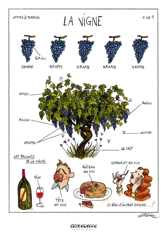 La Vigne