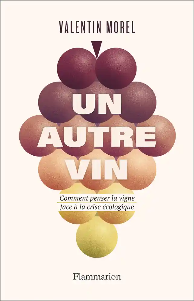 Another wine