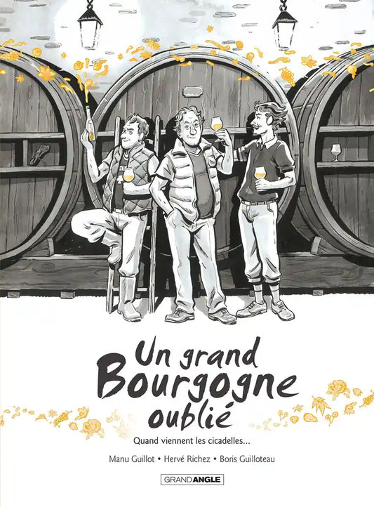 A great forgotten Burgundy, Volume 2