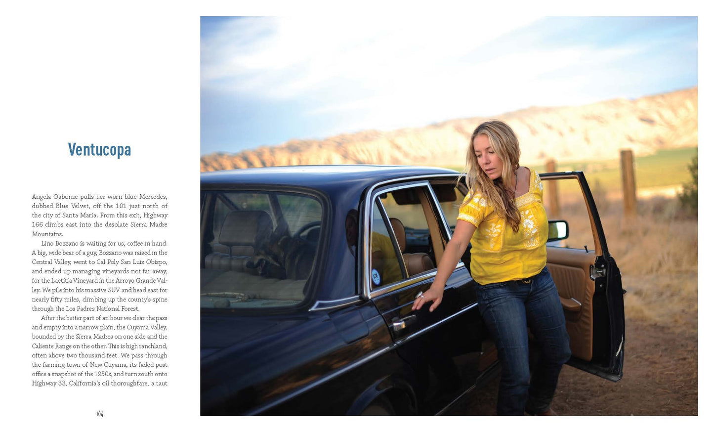 The New California Wine: A Guide to the Producers and Wines Behind a Revolution in Taste