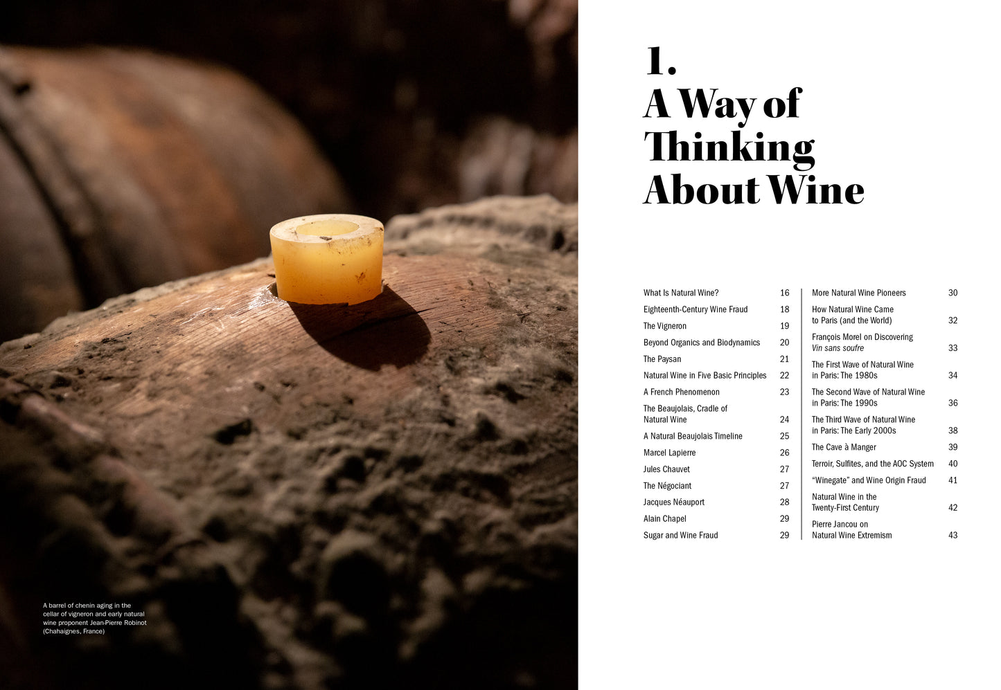 The World of Natural Wine