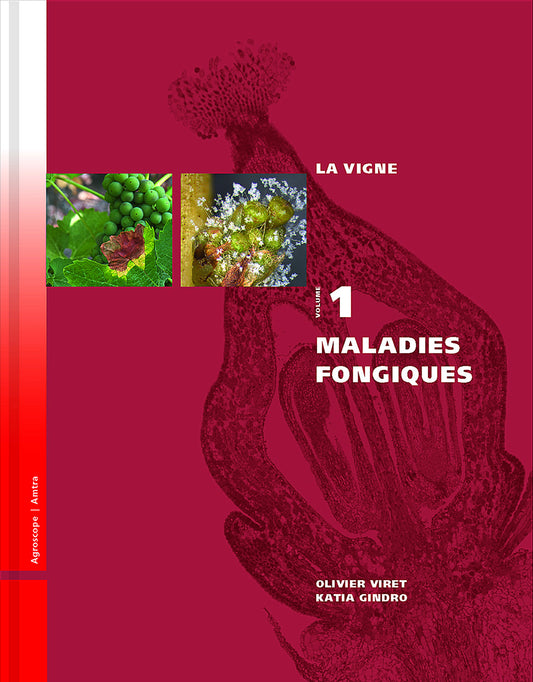 La vigne Tome 1: Maladies fongiques