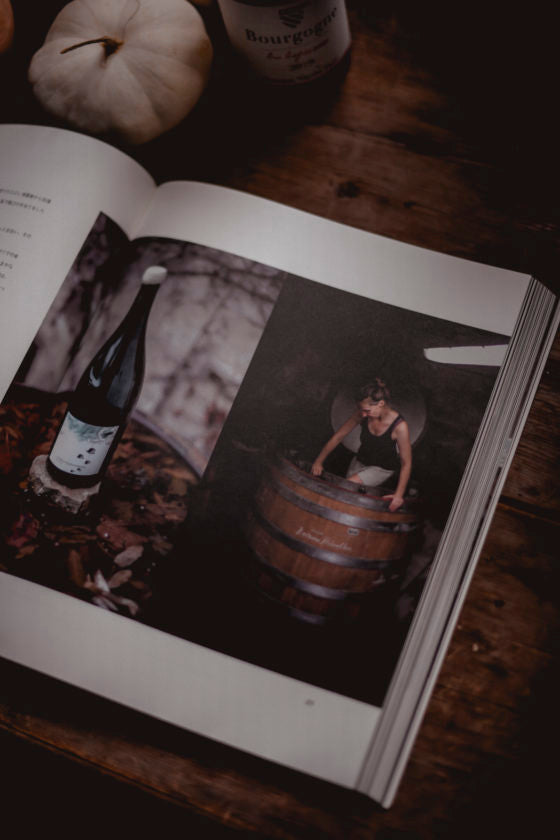 MONOPOLE: Bourgogne