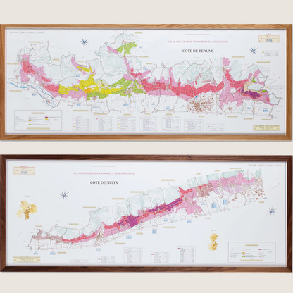 Cartes des climats de Bourgogne : Côte de Beaune et Côte de Nuits (lot de 2 cartes)