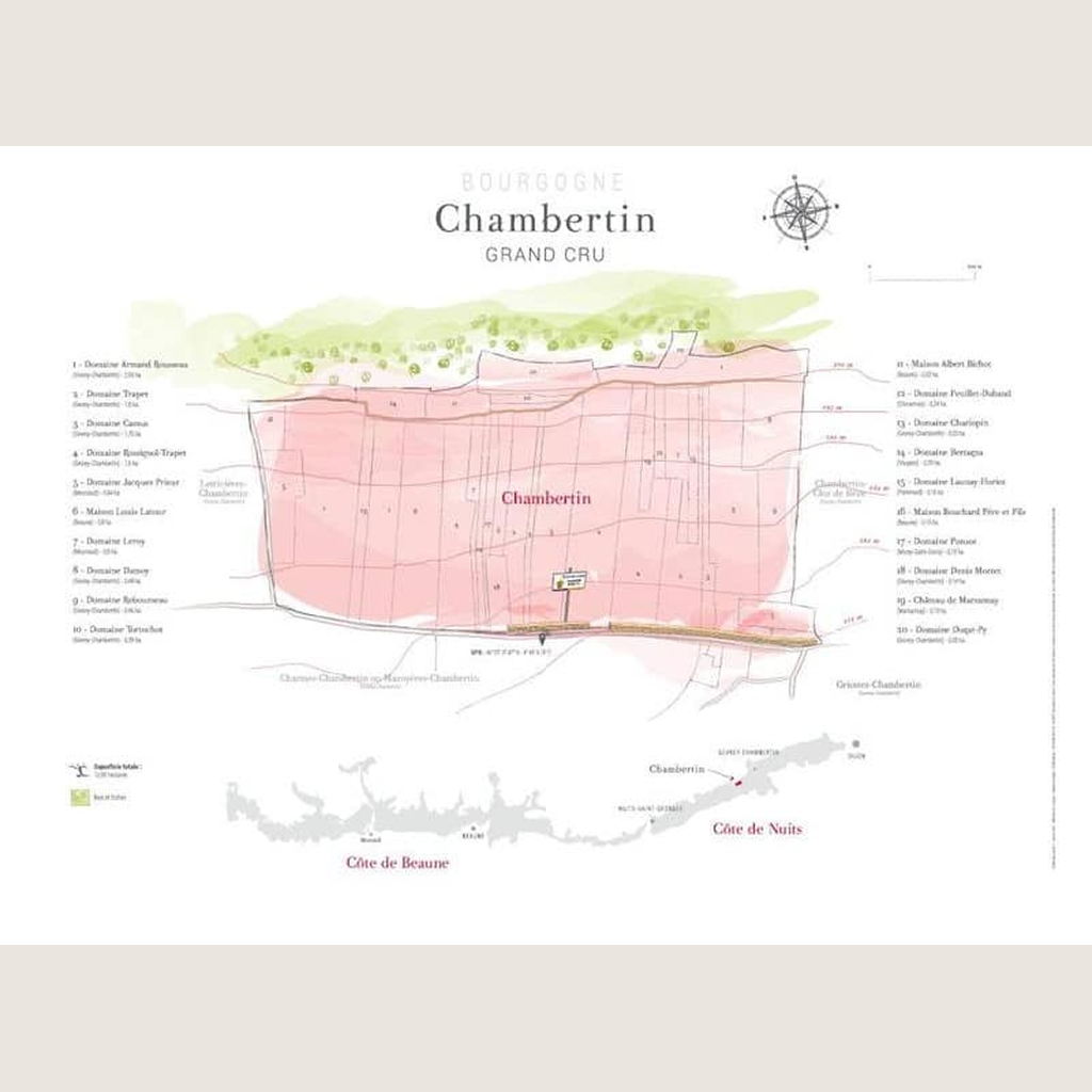Carte parcellaire murale : Chambertin