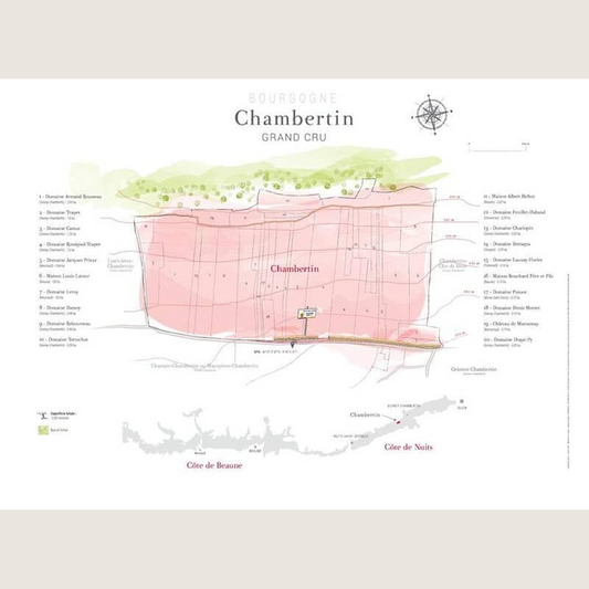 Carte parcellaire murale : Chambertin