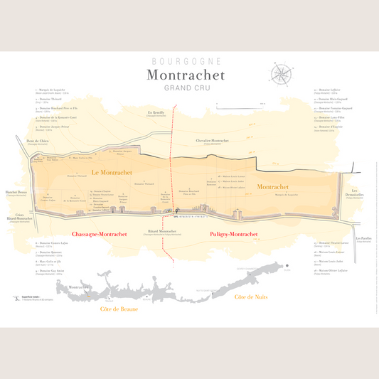 Carte parcellaire murale : Montrachet, Grand Cru