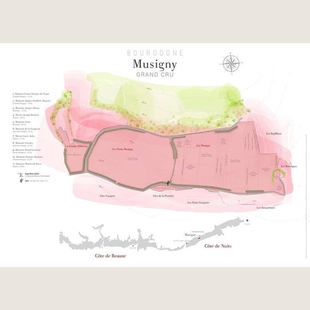Carte parcellaire murale : Musigny