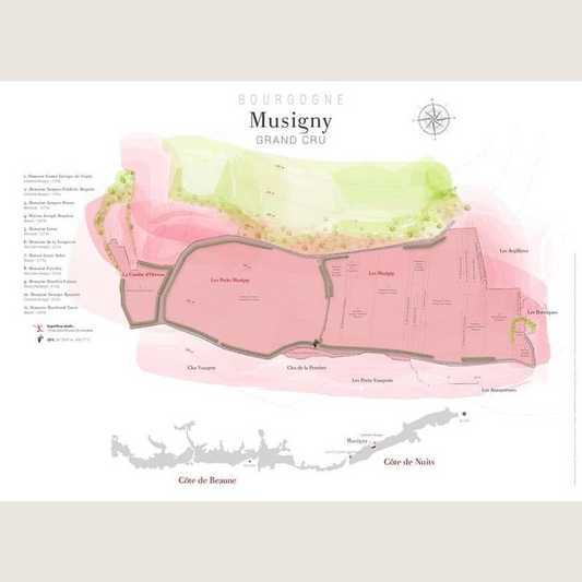 Carte parcellaire murale : Musigny