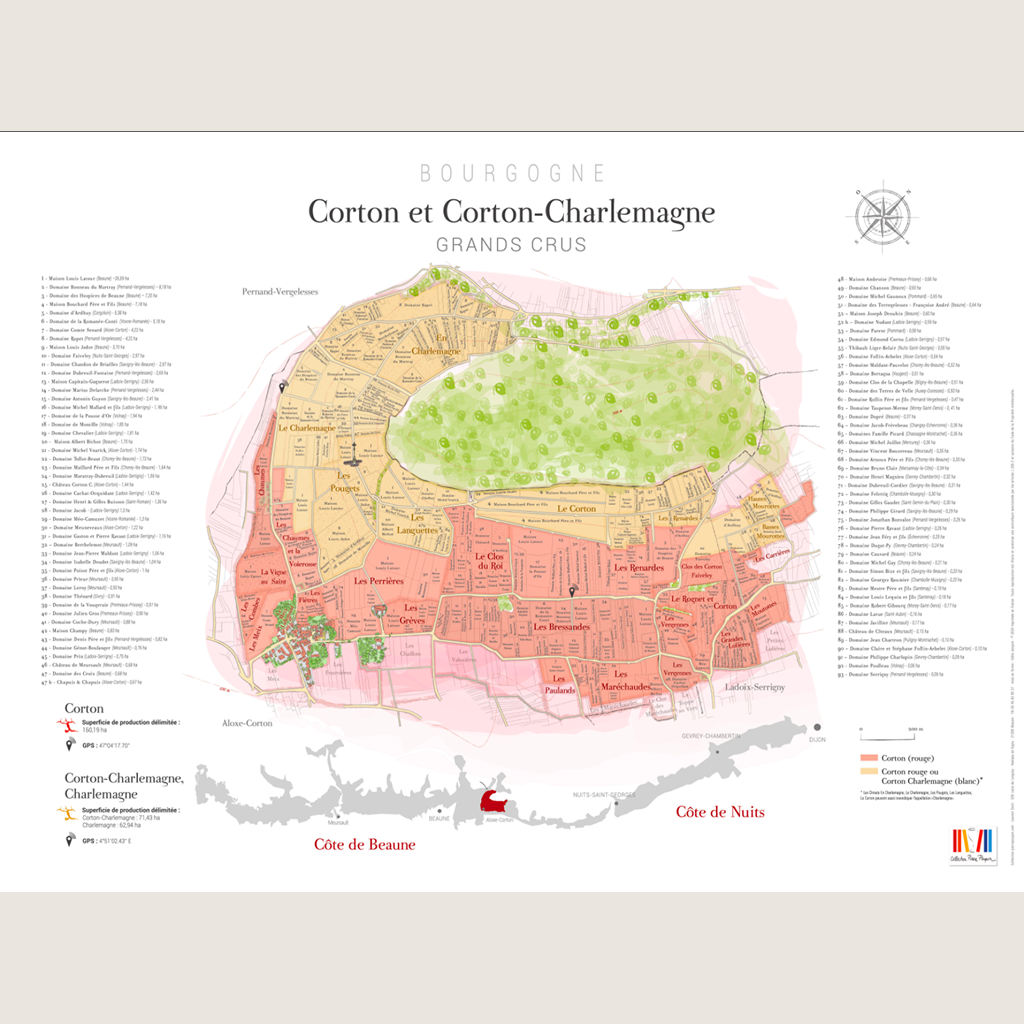 Carte parcellaire murale : Corton et Corton-Charlemagne
