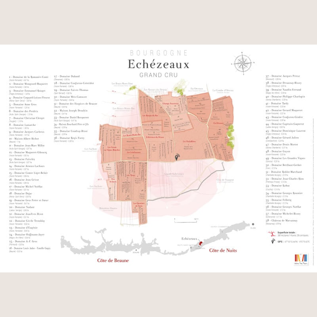 Carte parcellaire murale : Echézeaux