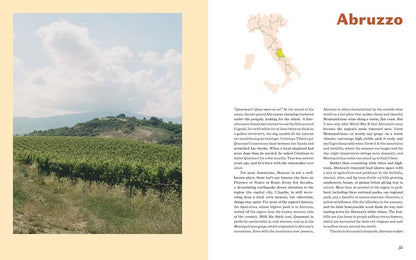 Italian Wine: The History, regions, and grapes of an iconic wine country