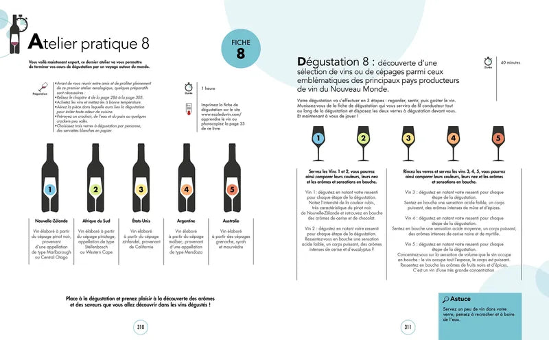 Le Grand Cours de Dégustation: Tout le vin en 120 leçons pour déguster comme un œnologue