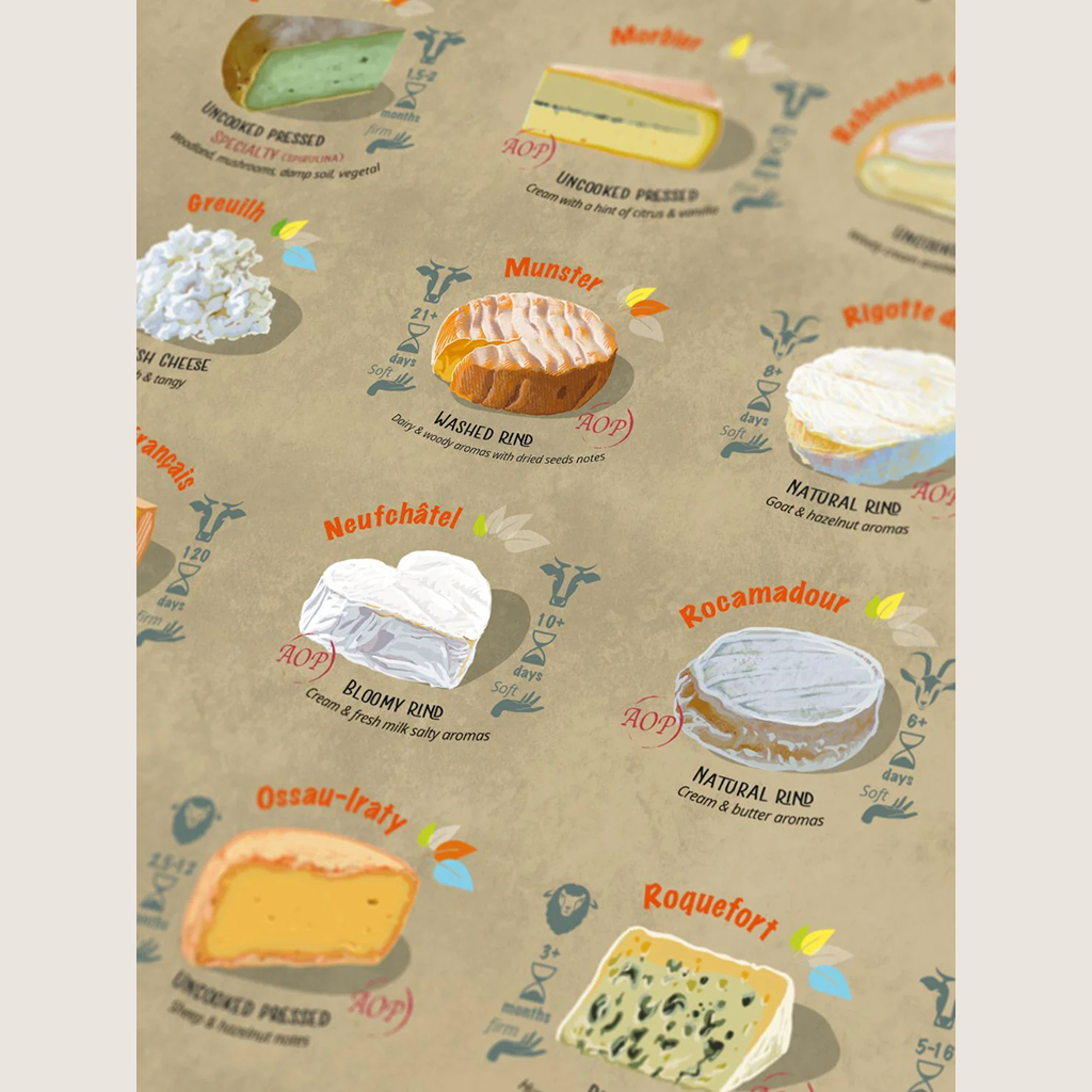 Cheese Puzzle - France