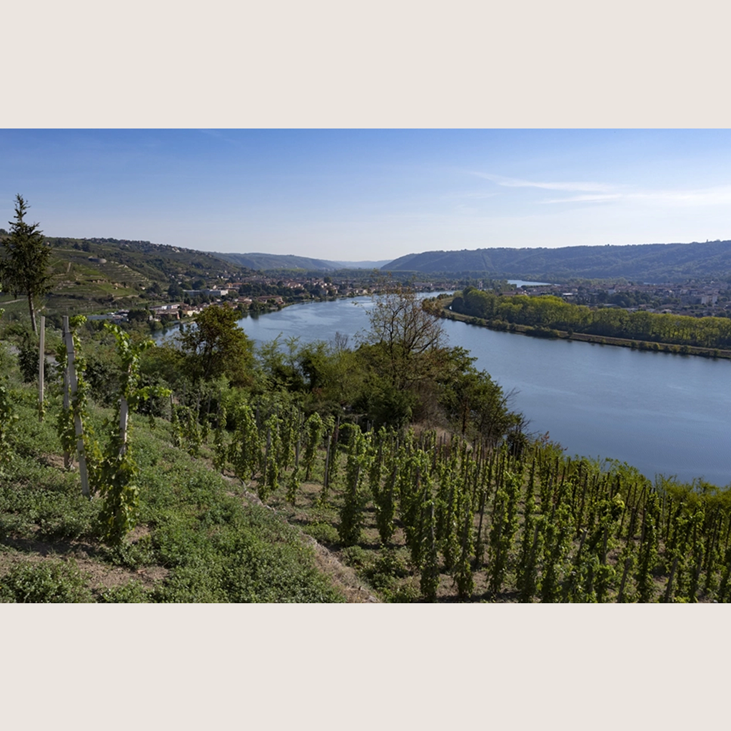 Château-Grillet : les eaux du feu