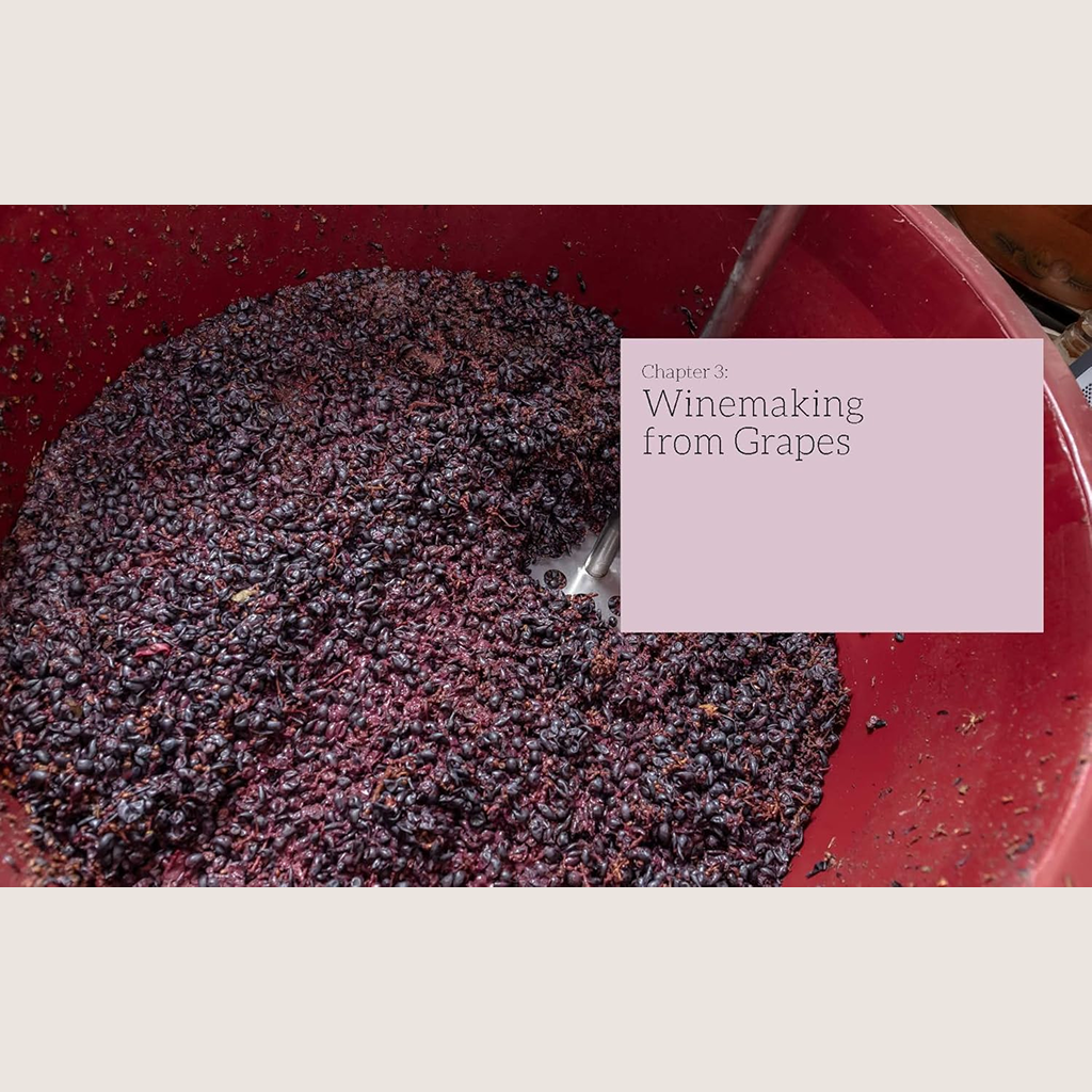The WineMaker Guide to Home Winemaking: Crafting your own Wine
