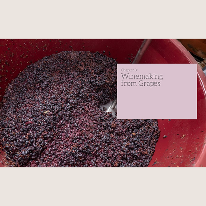 The WineMaker Guide to Home Winemaking: Crafting your own Wine