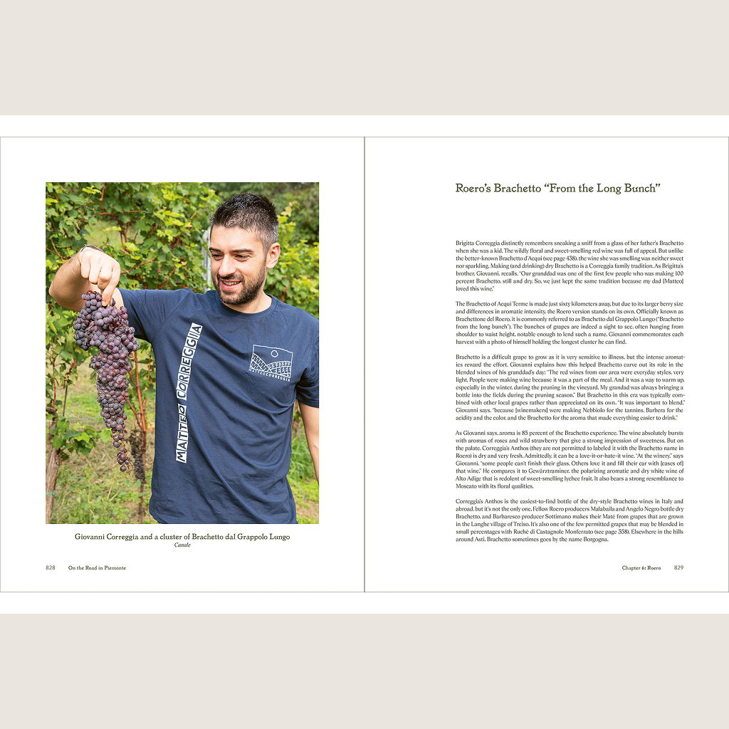 On the Road in Piemonte with Winemakers, Farmers & Chefs
