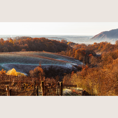 On the Road in Piemonte with Winemakers, Farmers & Chefs