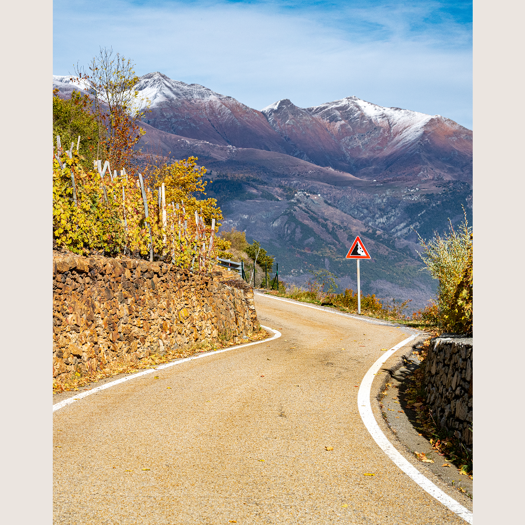 On the Road in Piemonte with Winemakers, Farmers & Chefs