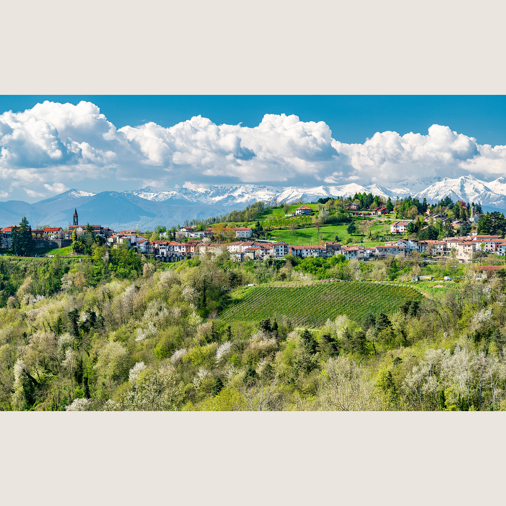 On the Road in Piemonte with Winemakers, Farmers & Chefs