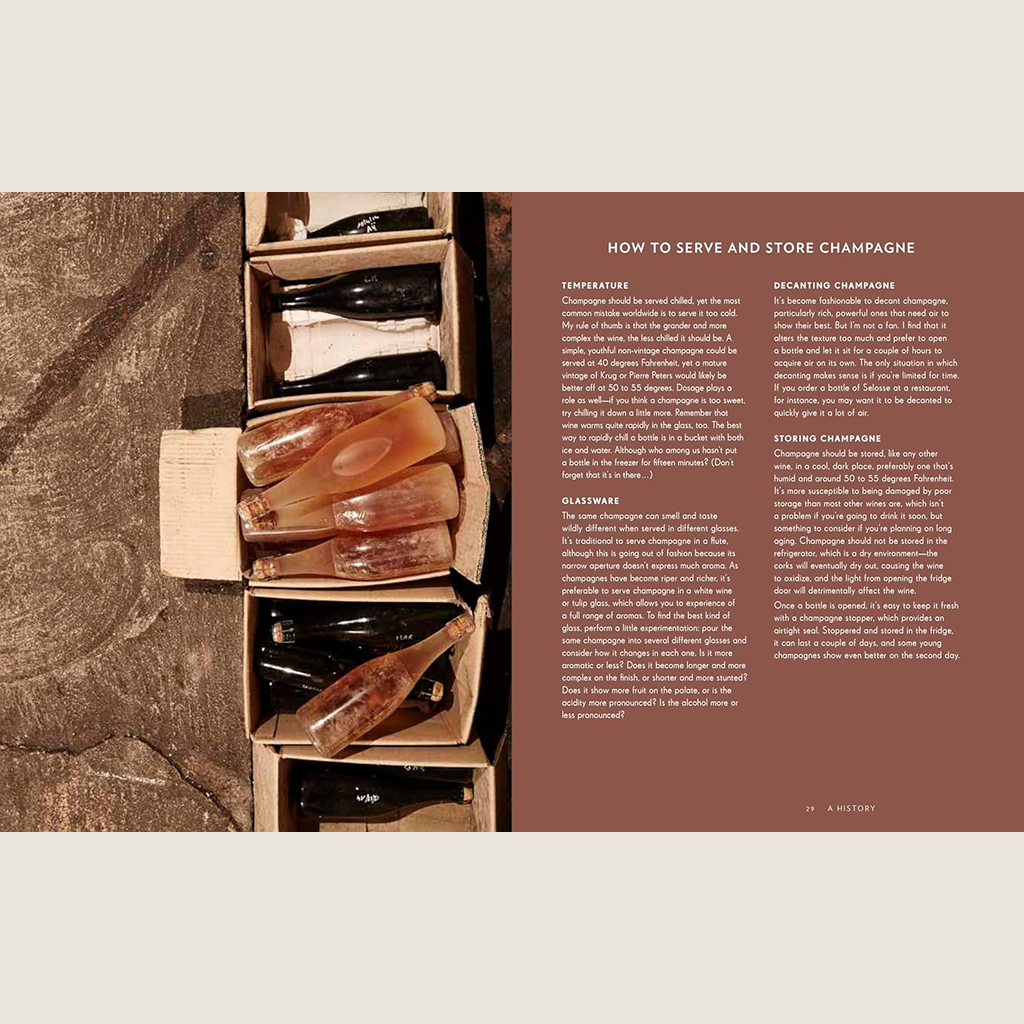 Champagne: The Essential Guide to the Wines, Producers, and Terroirs of the Iconic Region