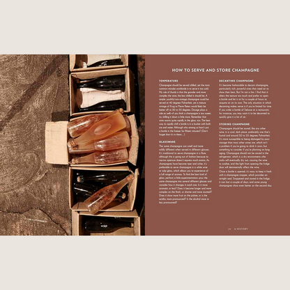 Champagne: The Essential Guide to the Wines, Producers, and Terroirs of the Iconic Region