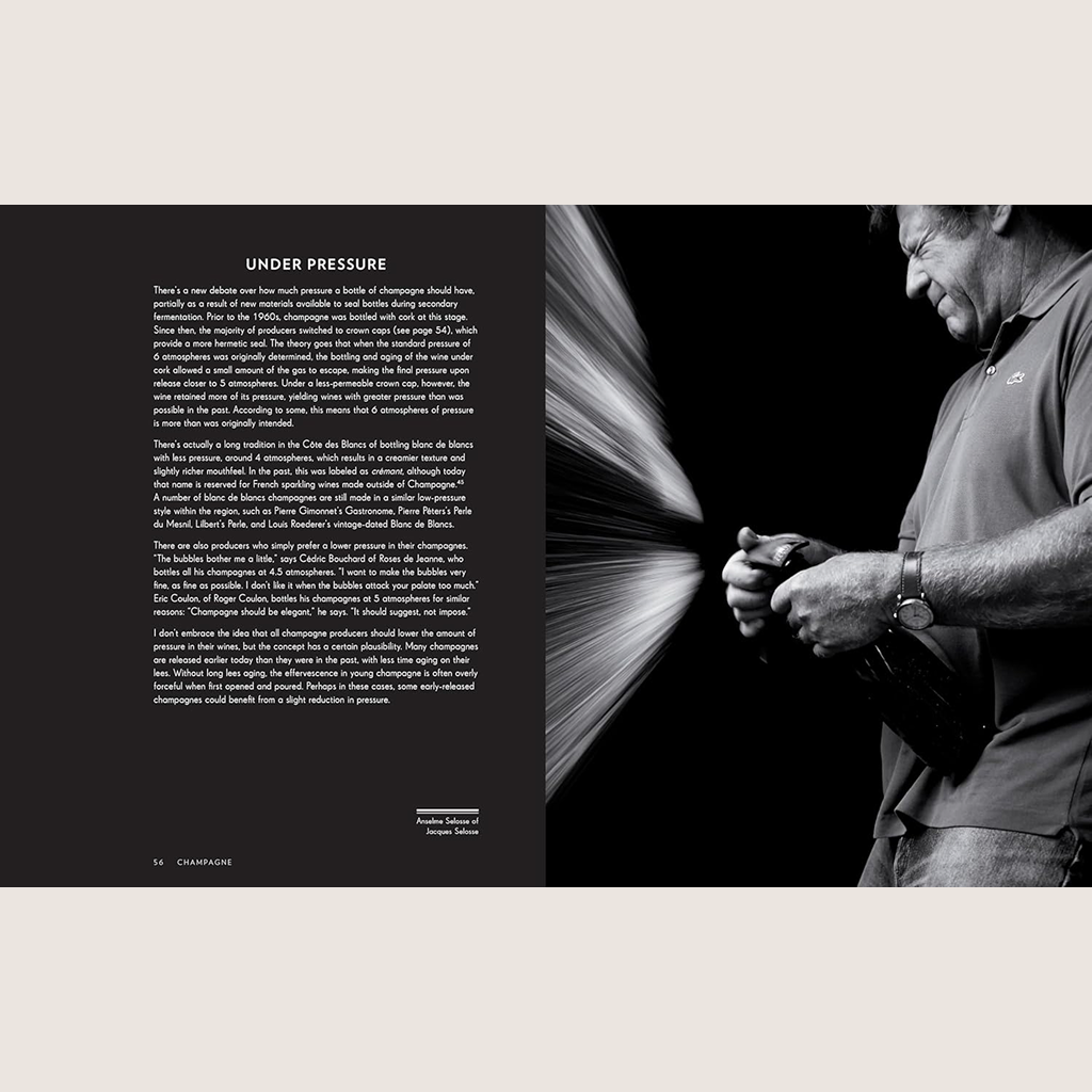 Champagne: The Essential Guide to the Wines, Producers, and Terroirs of the Iconic Region