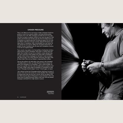 Champagne: The Essential Guide to the Wines, Producers, and Terroirs of the Iconic Region