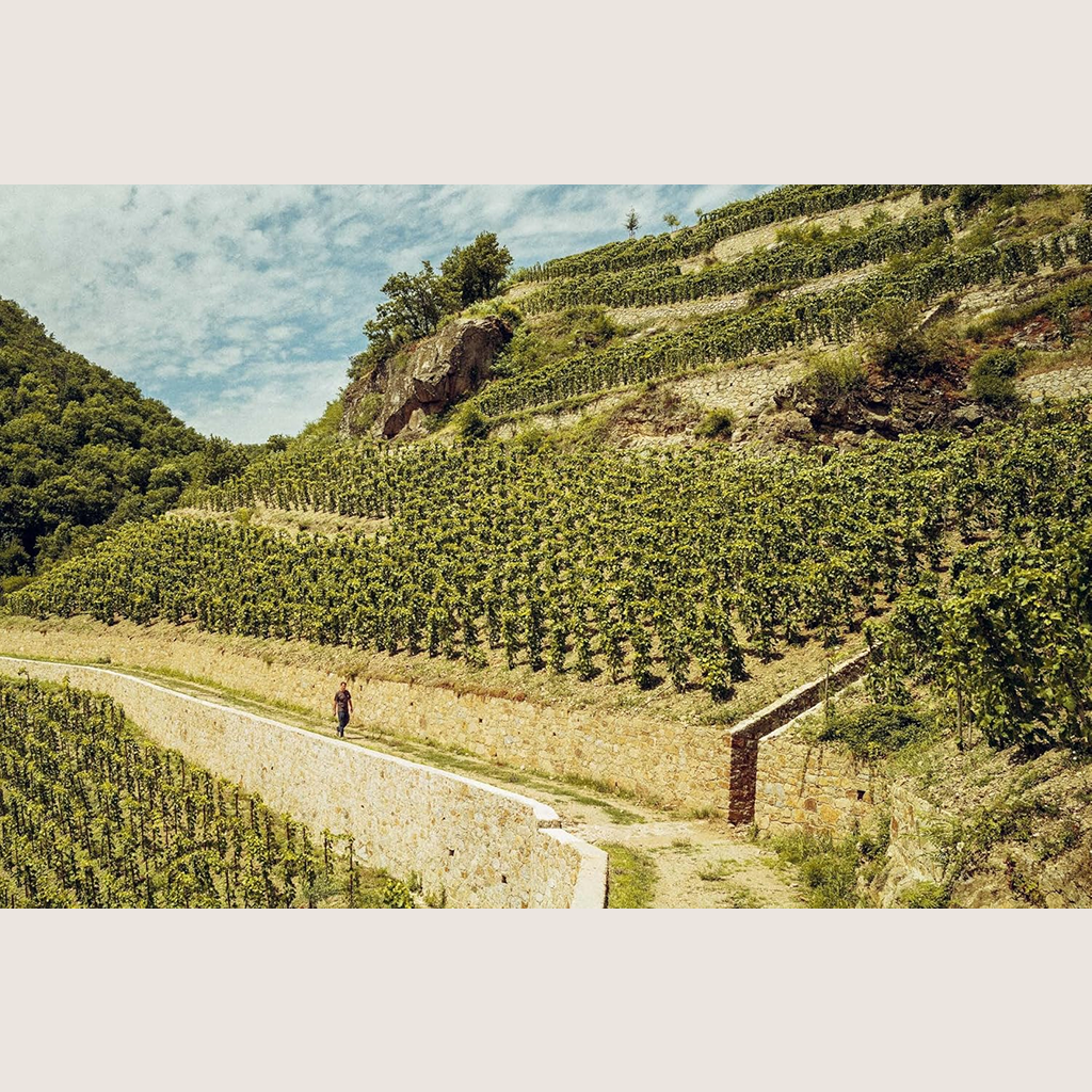 Who's Afraid of Romanée-Conti? A Shortcut to Drinking Great Wines